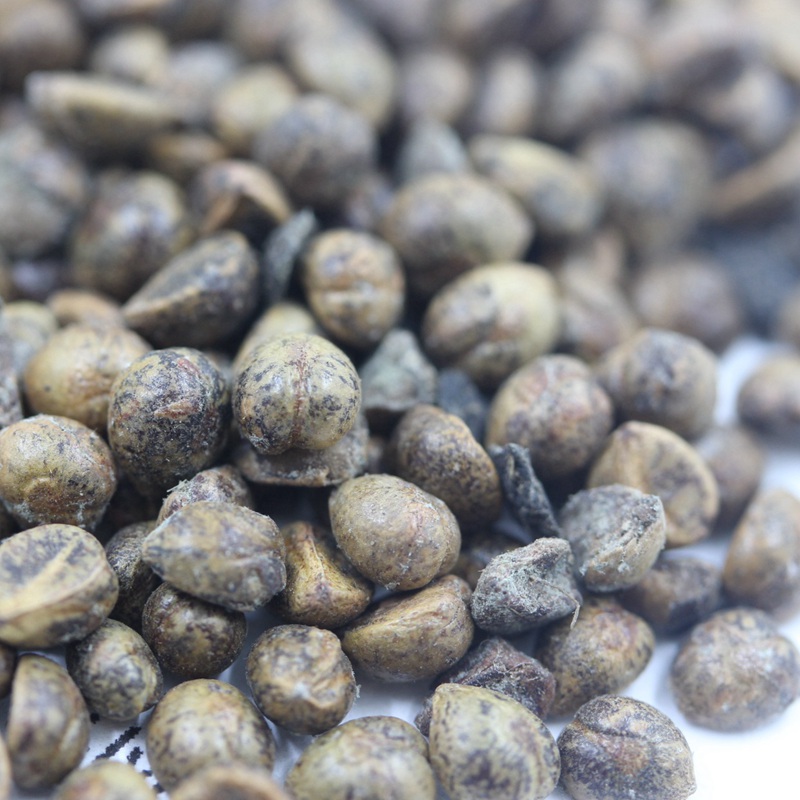 爬山虎 爬山虎