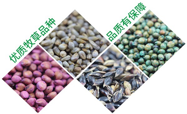 沐草匯園林網