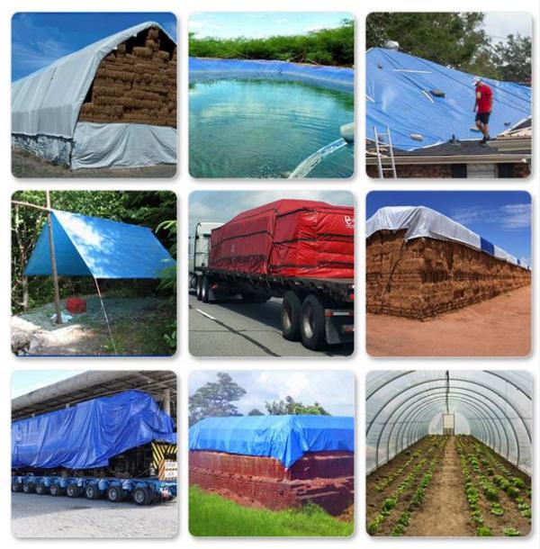 篷布：守護您的世界，從細節開始